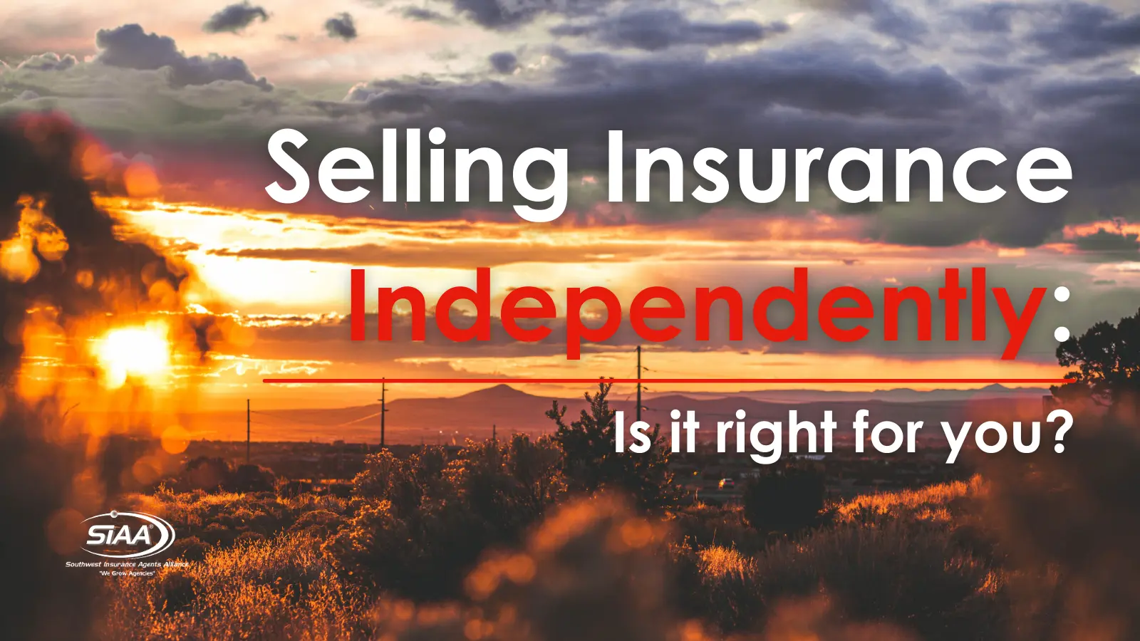 Selling Insurance Independently: Is It Right for You?